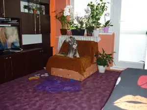emilka12 — 29. května 2013