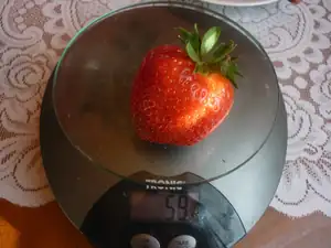 Tahle jahoda byla největší