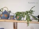 Velikonoční kaktus pokvete dub