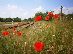 ...a jedna letní z našich cyklovýletů.