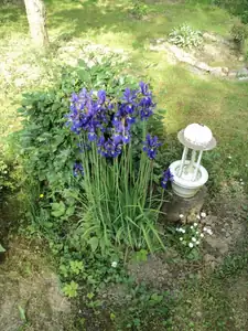 zhbobo — 20. června 2013