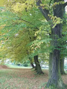 Magdalenka73 — 20. října 2010