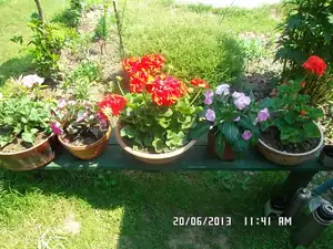 ludmila60 — 20. června 2013
