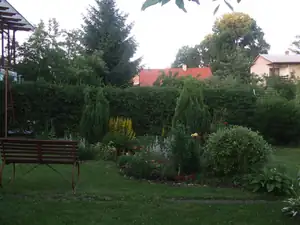 iris66 — 21. června 2013