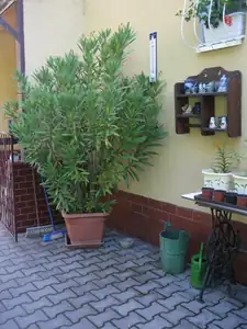 sud — 23. června 2013