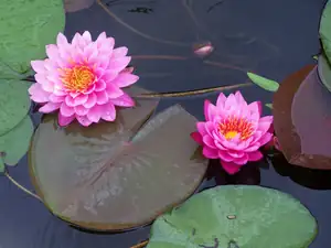 keramo — 24. června 2013