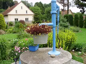 muškatek — 24. června 2013