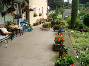 muškatek — 1. července 2013