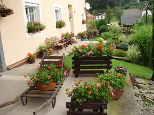 muškatek — 1. července 2013