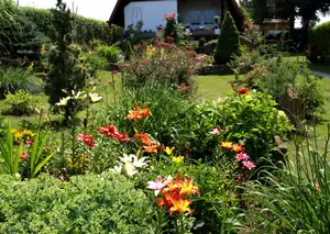 zahrada...