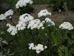 sud — 9. července 2013