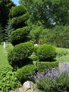 sud — 9. července 2013