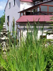 Orobinec