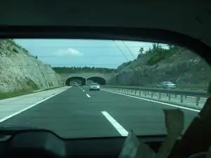 Moje nejvzácnější květinka má už 4 roky