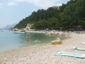 iris66 — 16. července 2013