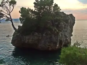 iris66 — 16. července 2013