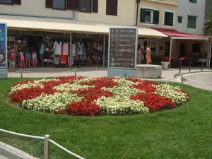 iris66 — 16. července 2013