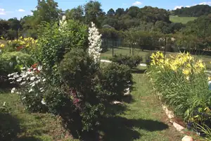 zahrada...