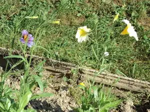 zhbobo — 23. července 2013