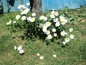 zhbobo — 23. července 2013
