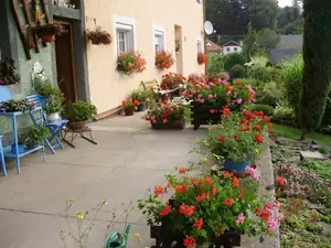 muškatek — 30. července 2013
