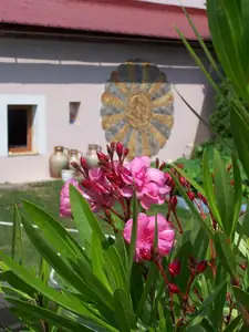 keramo — 31. července 2013