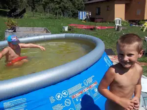 dvounoha zvěř