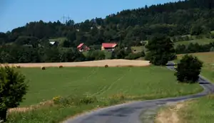 cestička k domovu...