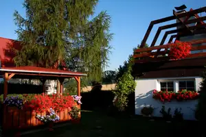 ráno...