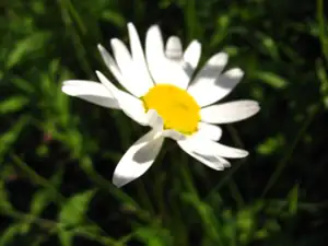 papi9719 — 11. srpna 2013