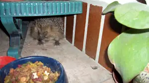 Měli jsme návštěvu