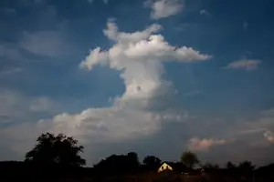 kráva nad Jasenicí...
