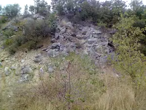 Palava