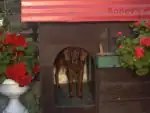Tak vypad