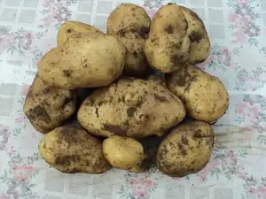 zhbobo — 4. září 2013