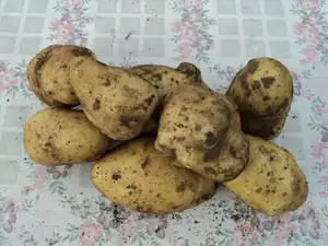 A je