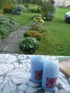 navečer