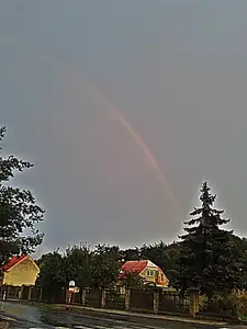 iris66 — 10. září 2013