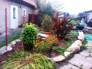 platěnka — 27. září 2013