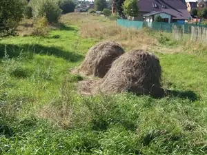 iris66 — 28. září 2013