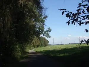 iris66 — 28. září 2013