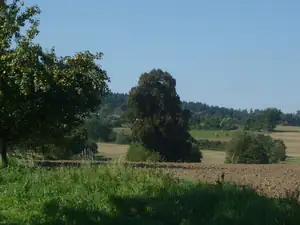 kyti5 — 1. října 2013