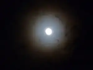 dracna — 21. ledna 2011