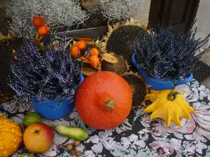 kyti5 — 12. října 2013