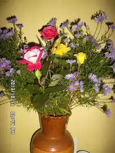 ludmila60 — 12. října 2013