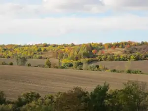 sud — 13. října 2013