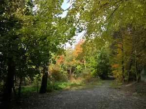 sud — 13. října 2013
