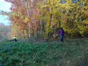 sud — 20. října 2013