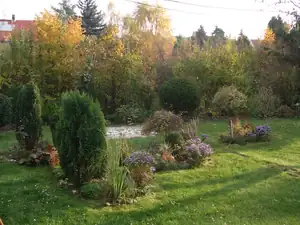 iris66 — 21. října 2013
