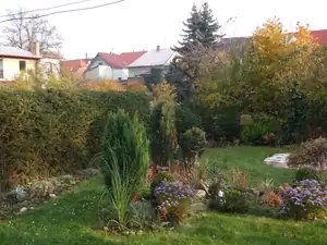 iris66 — 21. října 2013